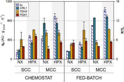 Innovative Bioprocess Strategies Combining Physiological Control and Strain Engineering of Pichia pastoris to Improve Recombinant Protein Production